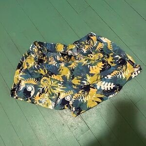 Patagonia baggies